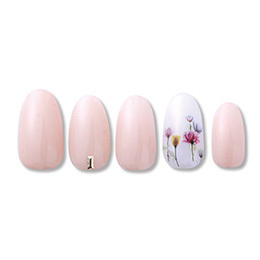 Sha-Nail Pro - FAR-001