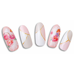 Sha-Nail Pro - YWKS-001