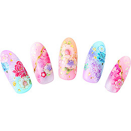 Sha-Nail Pro - FJS-002