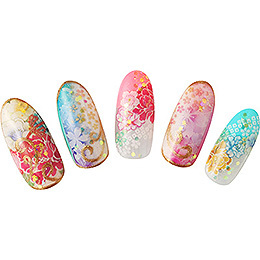 Sha-Nail Pro - FJS-001