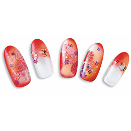 Sha-Nail Pro - KKH-001