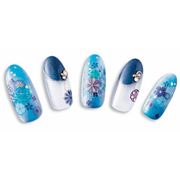 Sha-Nail Pro - KKH-002