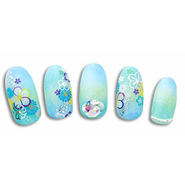 Sha-Nail Pro - HTD-002