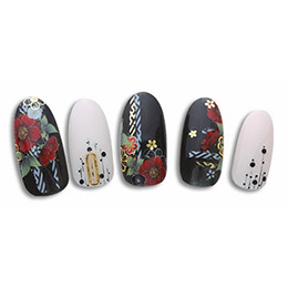 Sha-Nail Pro - HTD-001