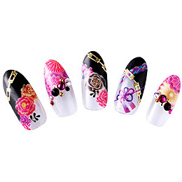 Sha-Nail Pro - NAD-001