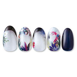 Sha-Nail Pro - HOP-001