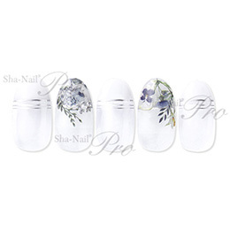 Sha-Nail Pro - NAT-001
