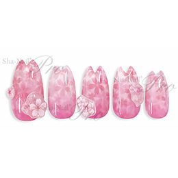 Sha-Nail Pro - SSA-001