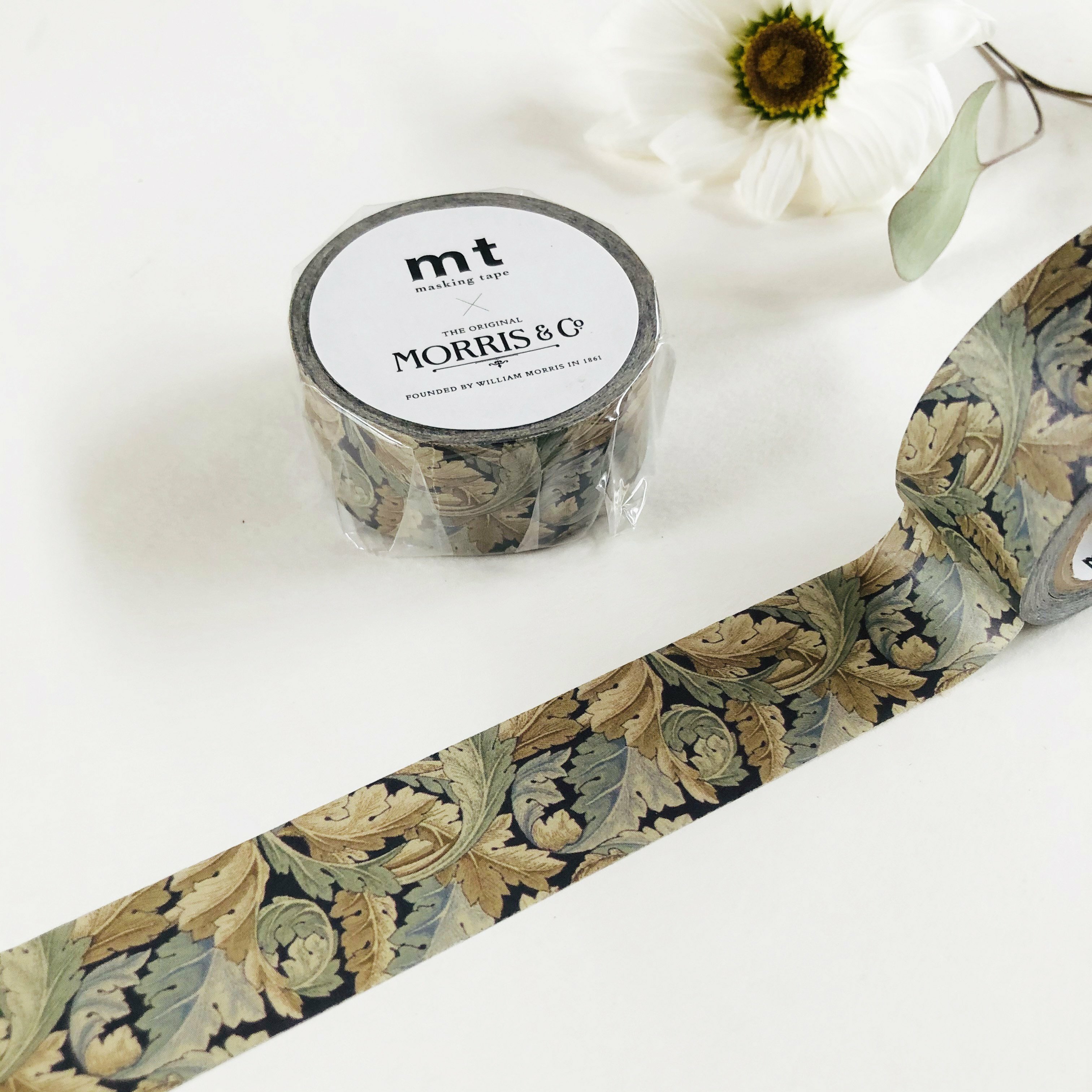 MT x William Morris 和紙膠帶 莨苕 Acanthus