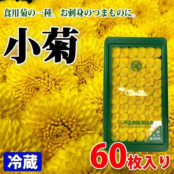 小菊 (黃/紫) 約50g/盒