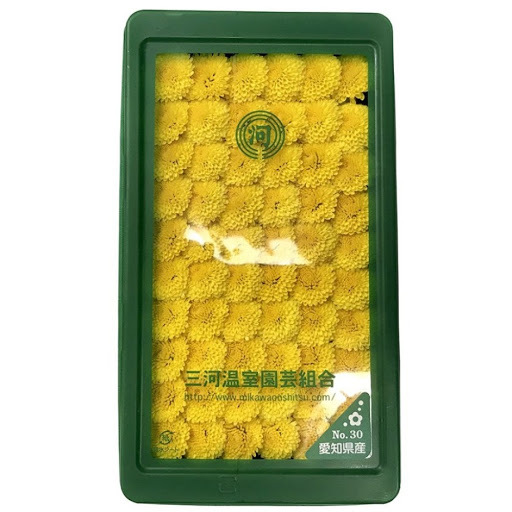 小菊 (黃/紫) 約50g/盒