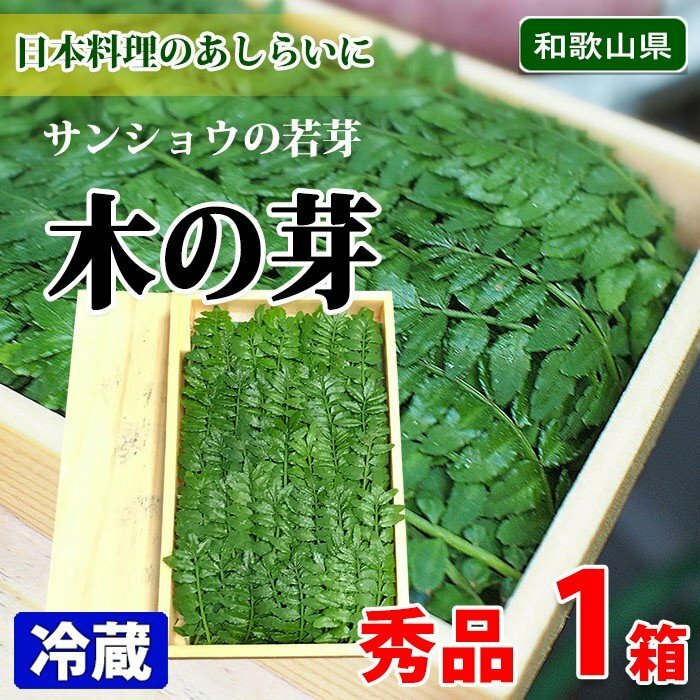 木之芽 [きのめ] 約20G/盒