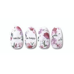 Sha-Nail Pro - N-RG001