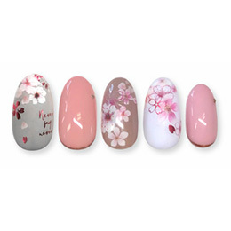 Sha-Nail Plus - SB-PCP