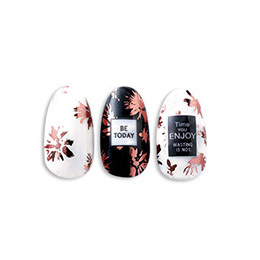 Sha-Nail Plus - NF-PPG