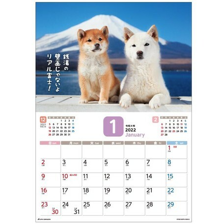日式柴犬月曆 (日本製)
