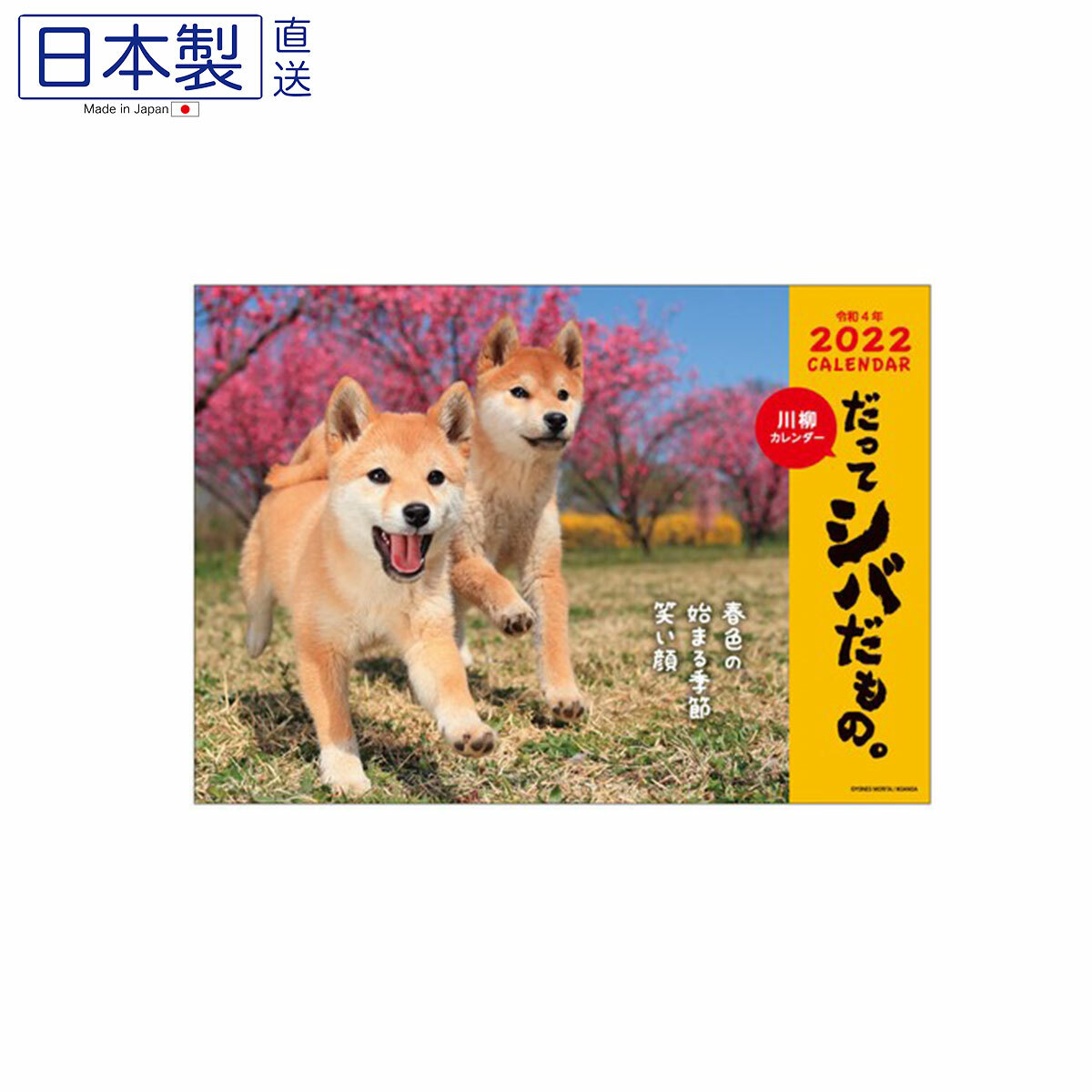 日式柴犬月曆 (日本製)