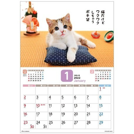 日式貓貓月曆 (日本製)