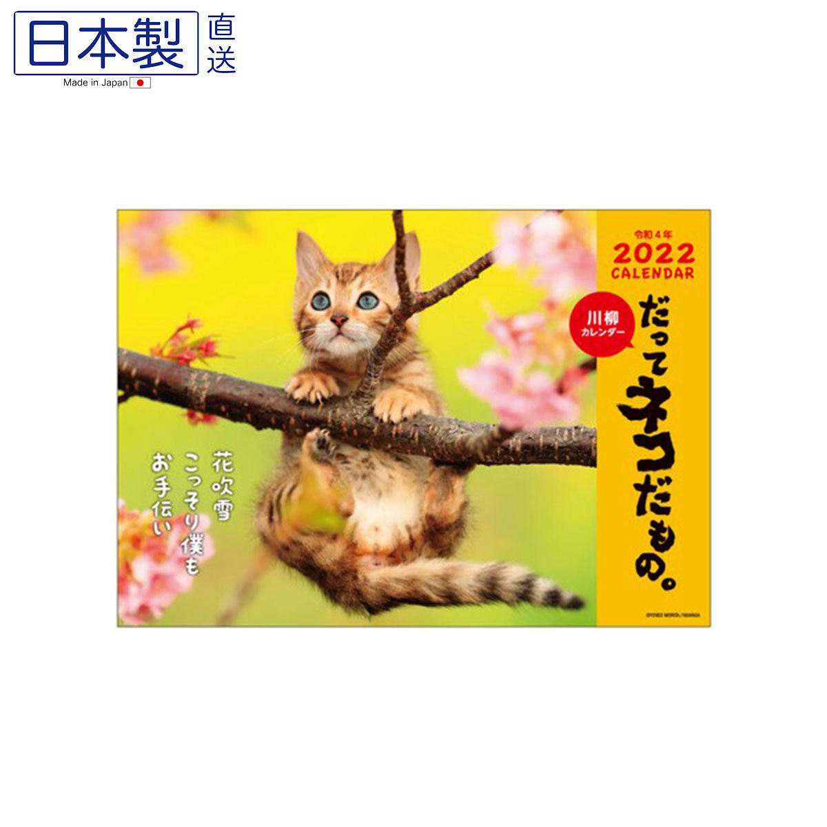 日式貓貓月曆 (日本製)