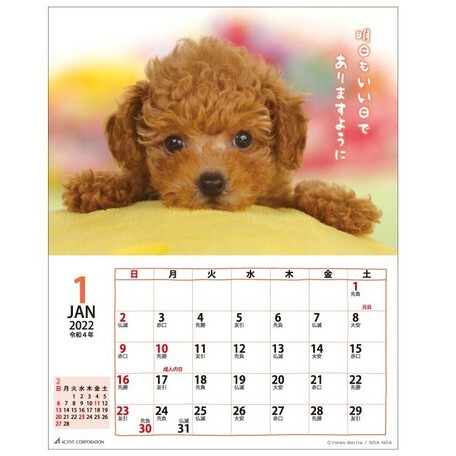日式柴犬月曆 (日本製)