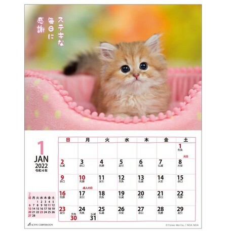 日式貓貓月曆 (日本製)