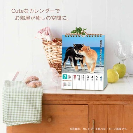 日式柴犬座檯週曆 (日本製)
