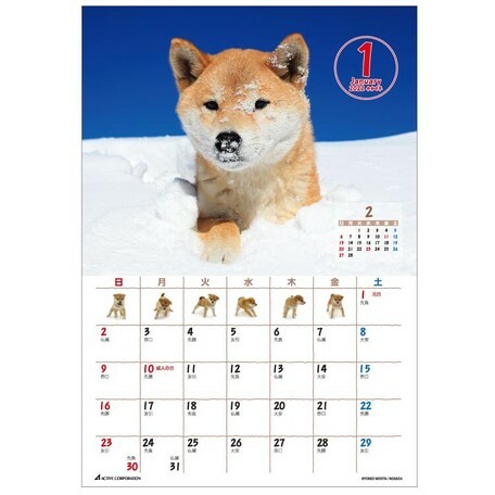 日式柴犬座檯月曆 (日本製)