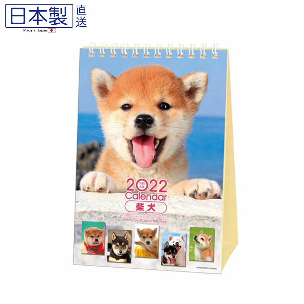日式柴犬座檯月曆 (日本製)
