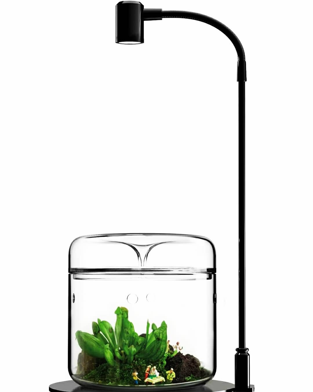 BIOLOARK 植物露集杯