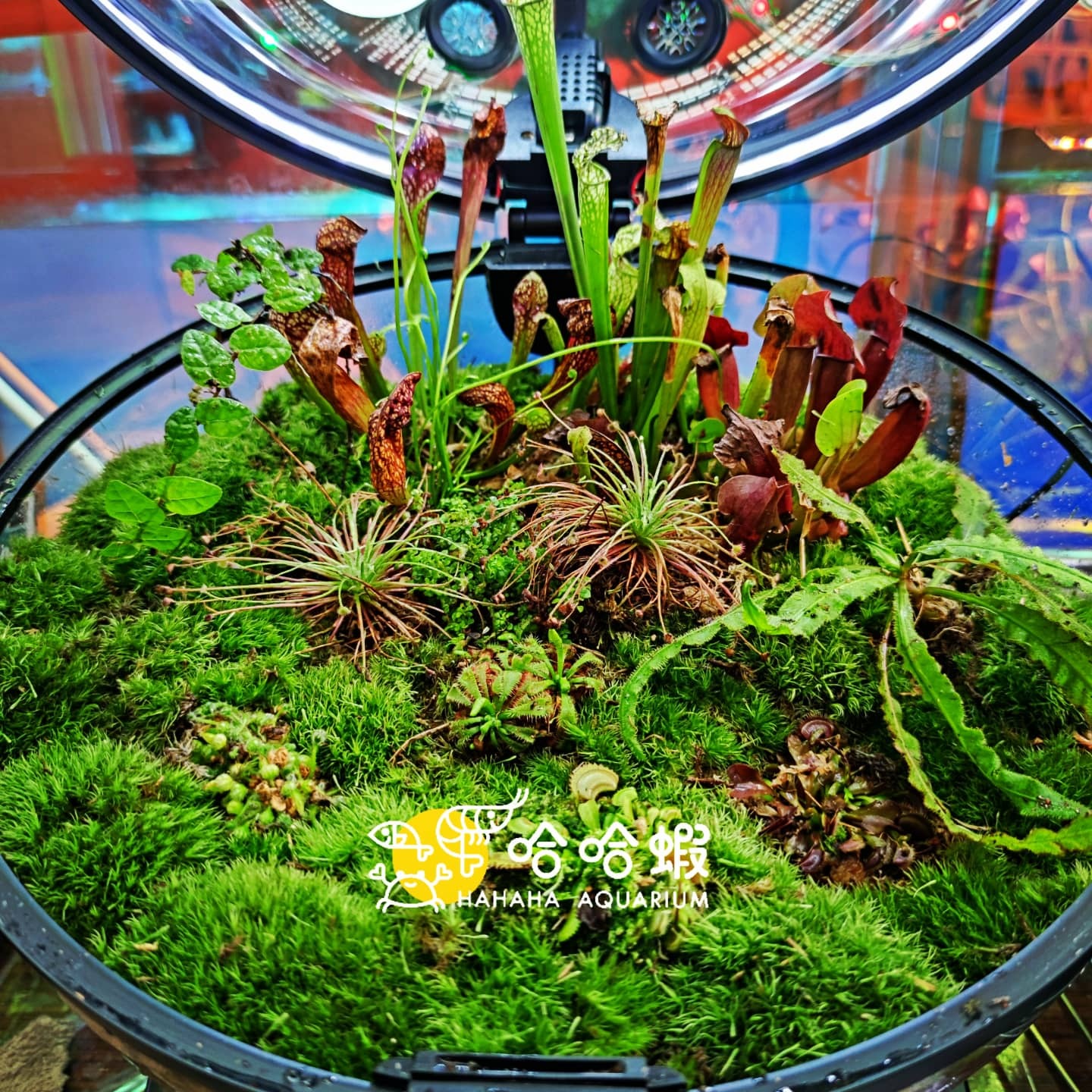 BIOLOARK 生態地球