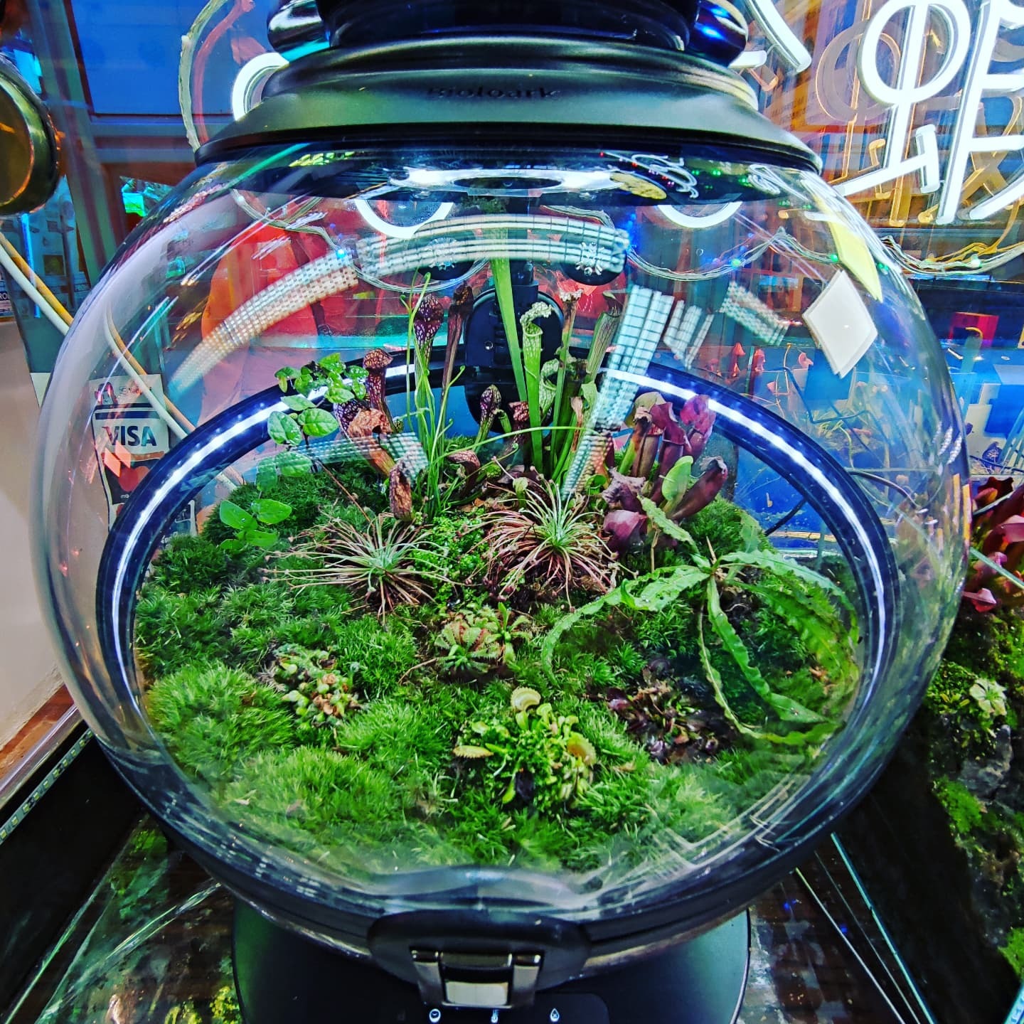 BIOLOARK 生態地球