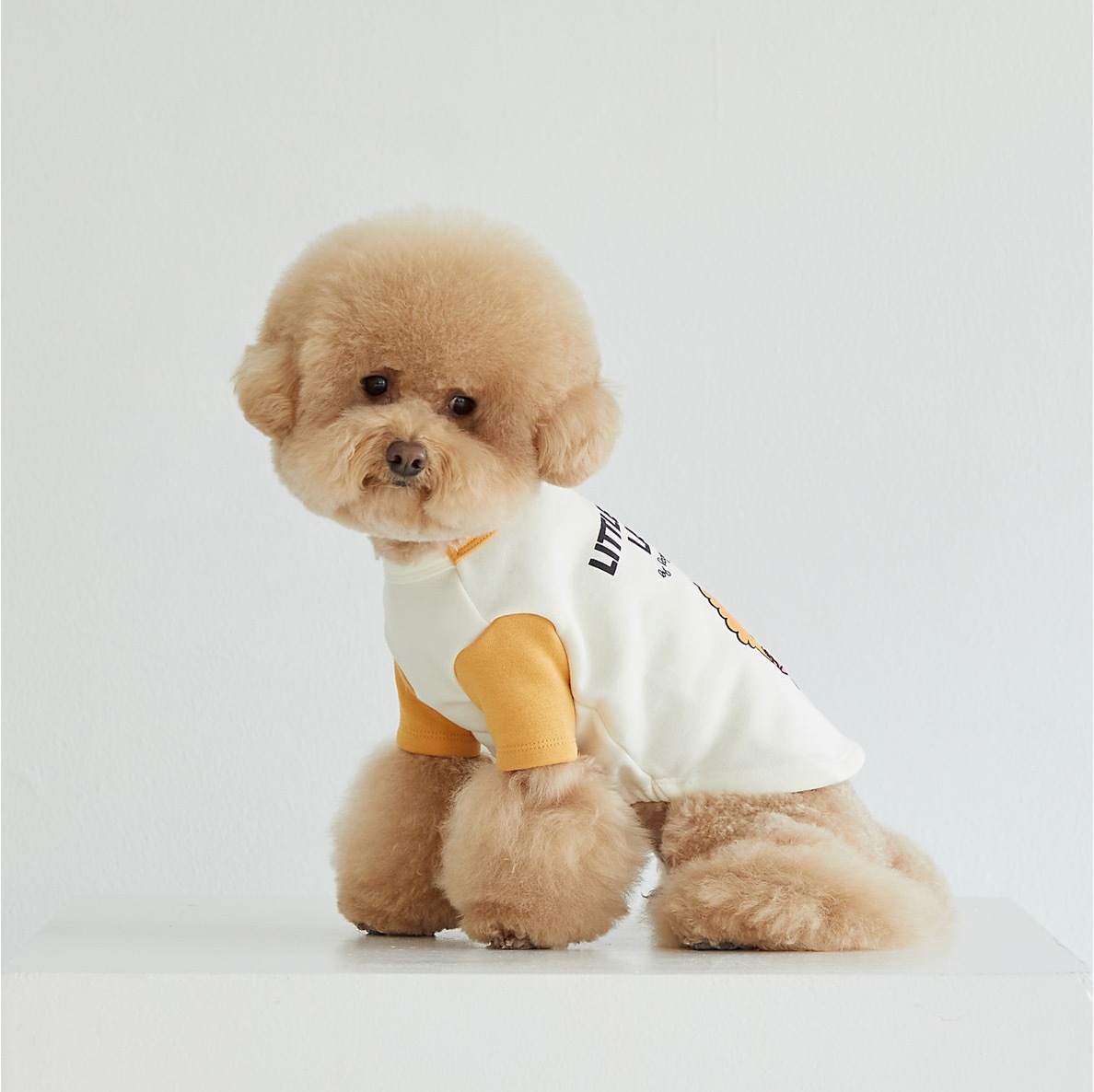 奇先生與妙小姐 (LIttle Miss Sunshine)