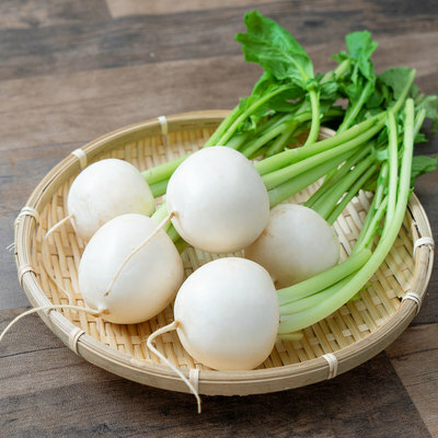 小蕪菁 約680-720g/束