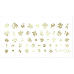 Sha-Nail Plus - NF-PMCG