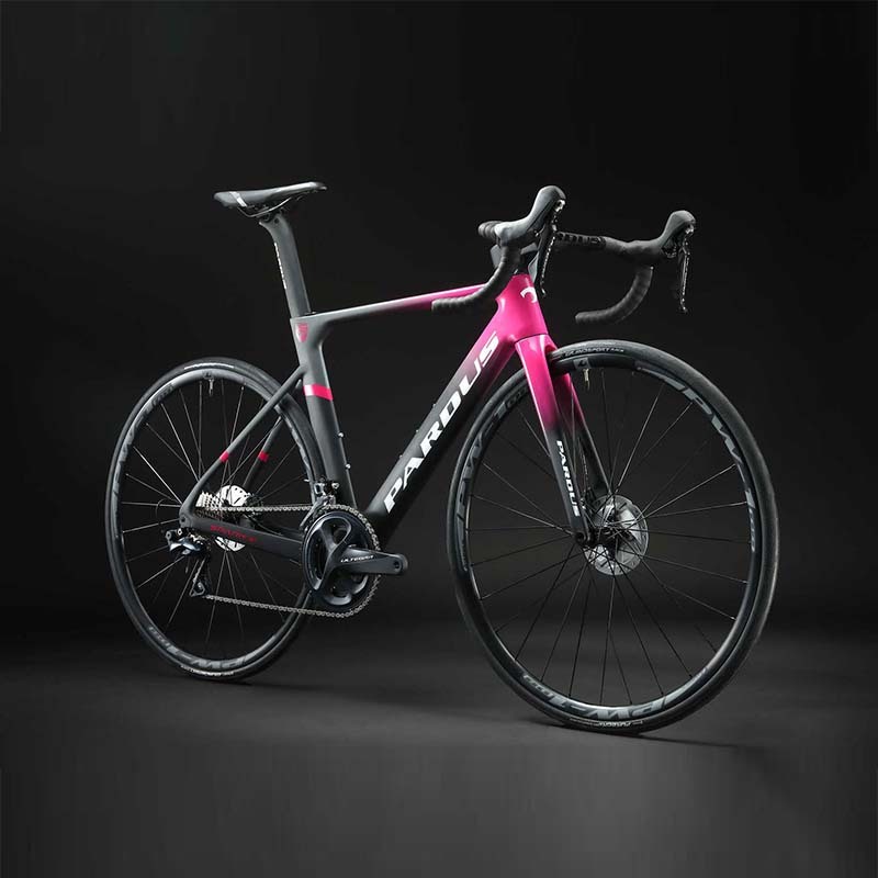 Pardus Robin EVO Disc Road Bike Frame BlackPink (Bar/ Post)