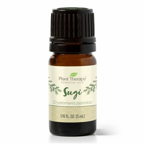 【特別限定】Plant Therapy 日本杉木 Sugi 精油 -5ml