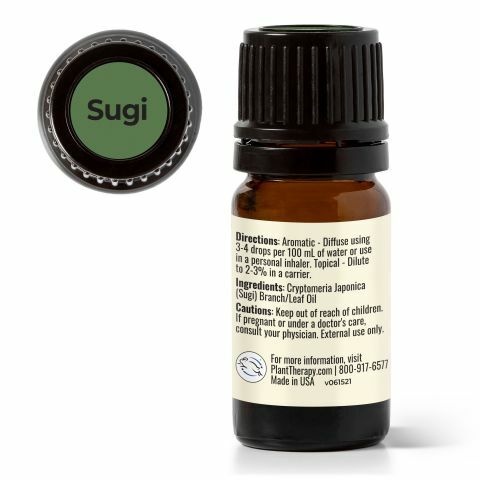 【特別限定】Plant Therapy 日本杉木 Sugi 精油 -5ml