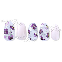 Sha-Nail Plus - CUF-PBK