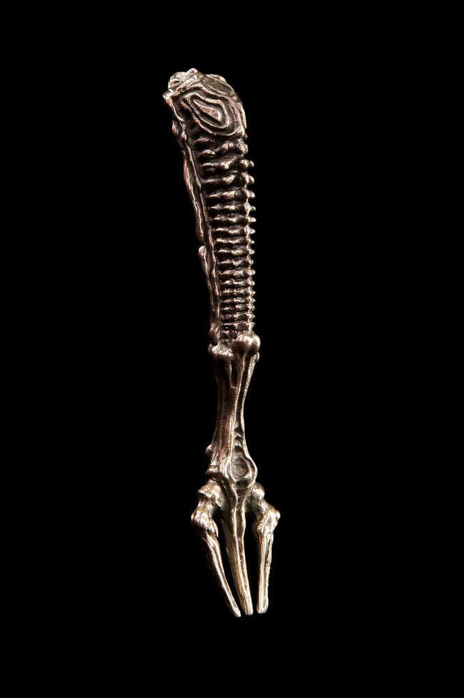 Maklaud Fork - Korma