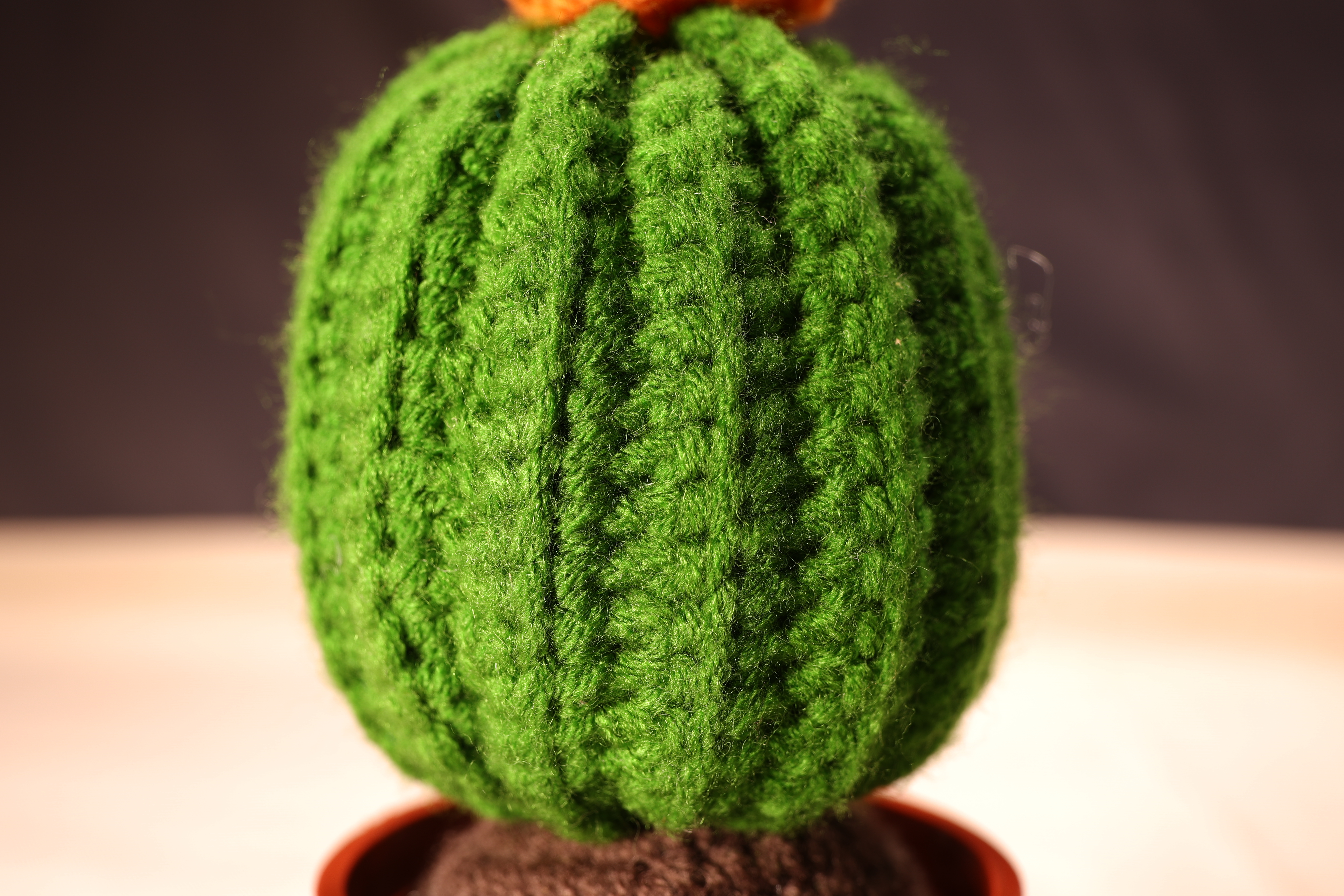 鈎織擺設 (仙人掌盆栽)