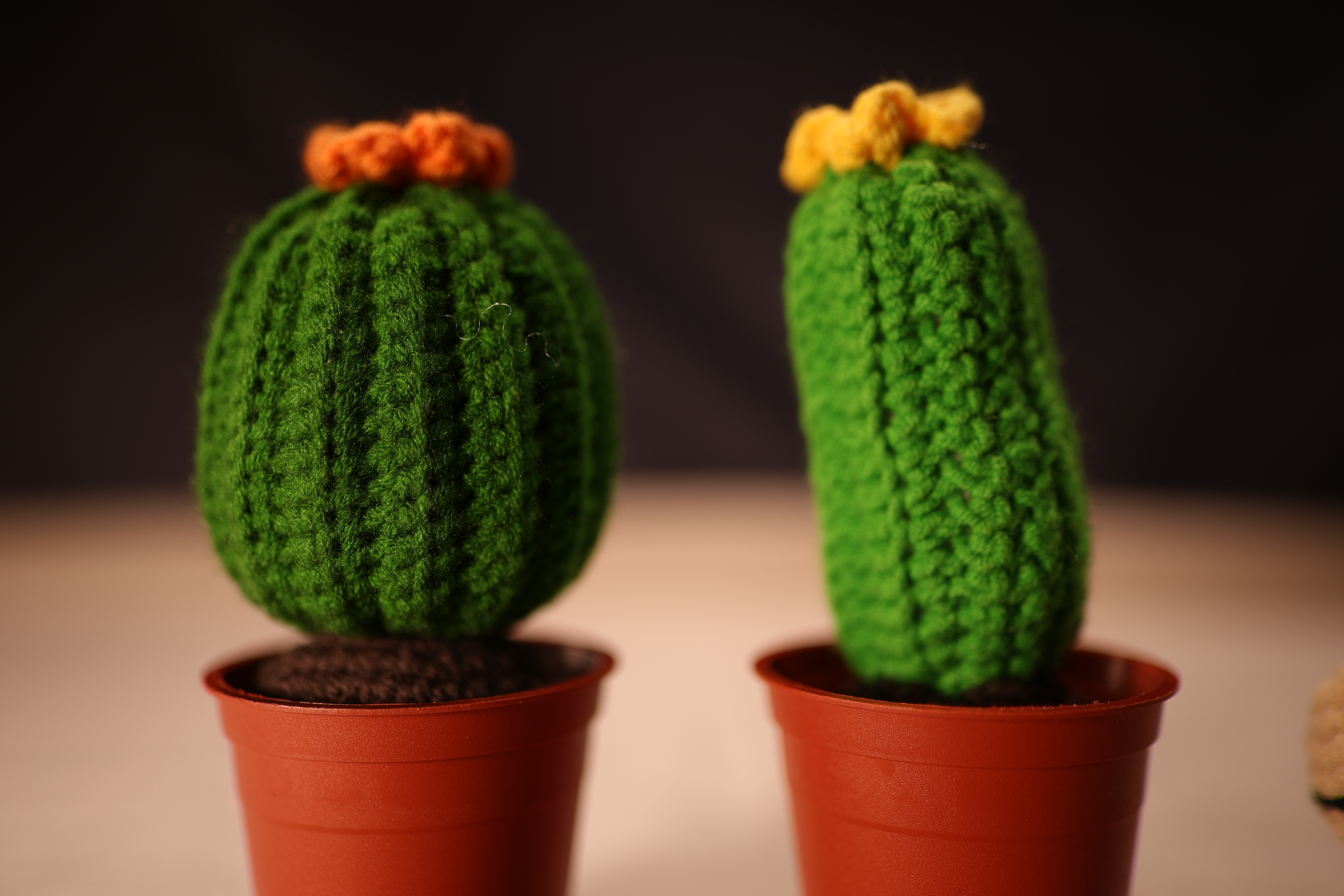 鈎織擺設 (仙人掌盆栽)