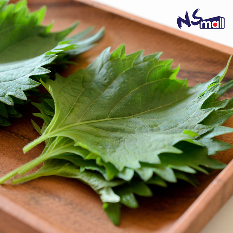 大葉(紫蘇葉) 約100g/盒