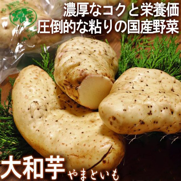 大和芋 約300g/條