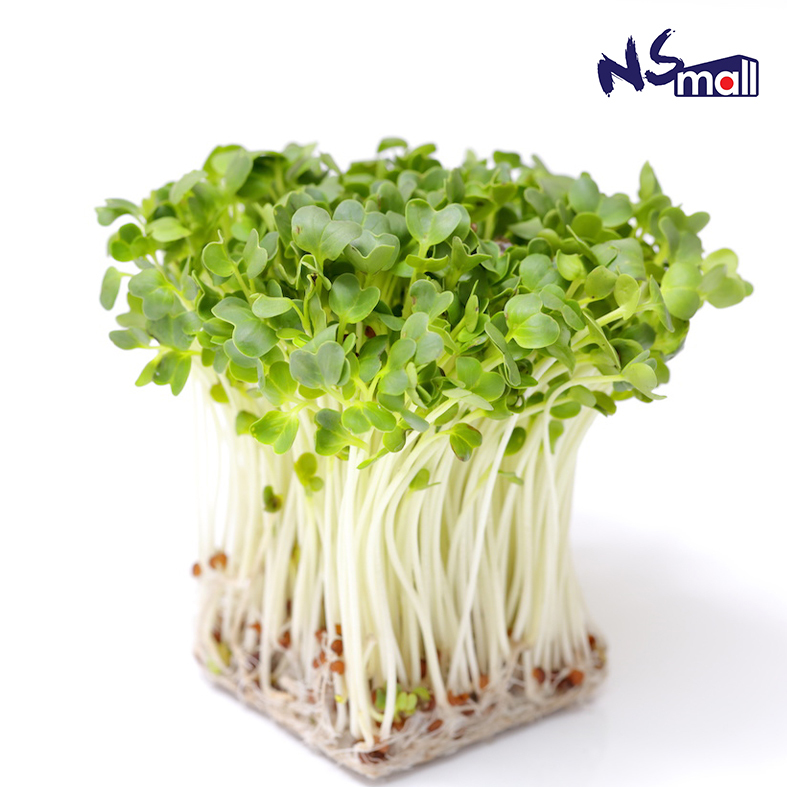 蘿蔔苗 約80g/盒