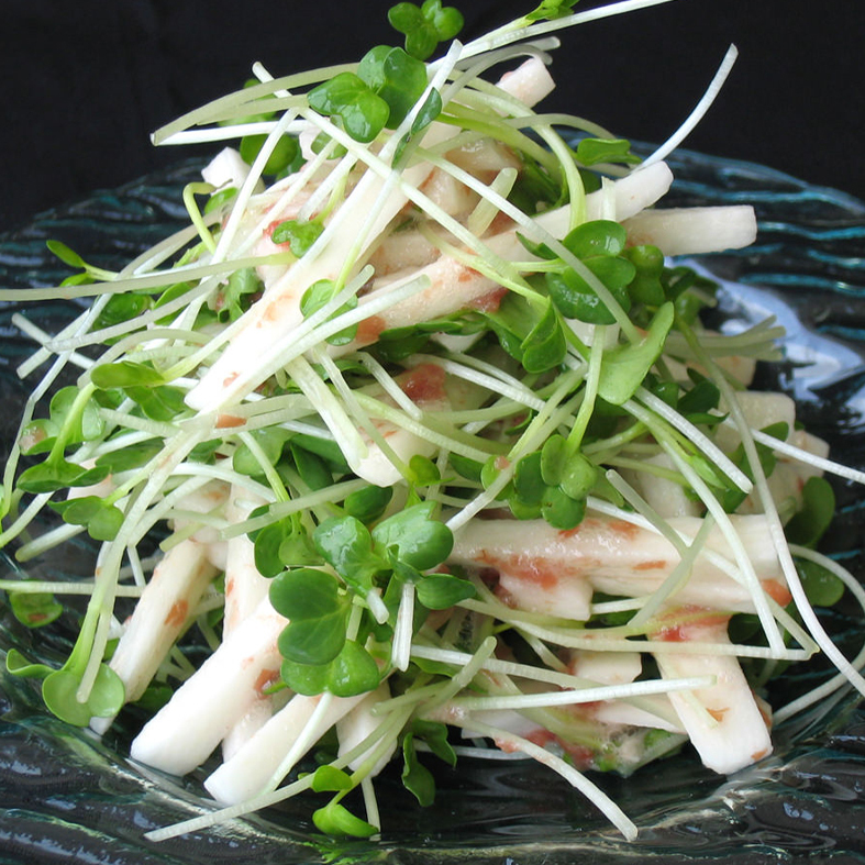 蘿蔔苗 約80g/盒