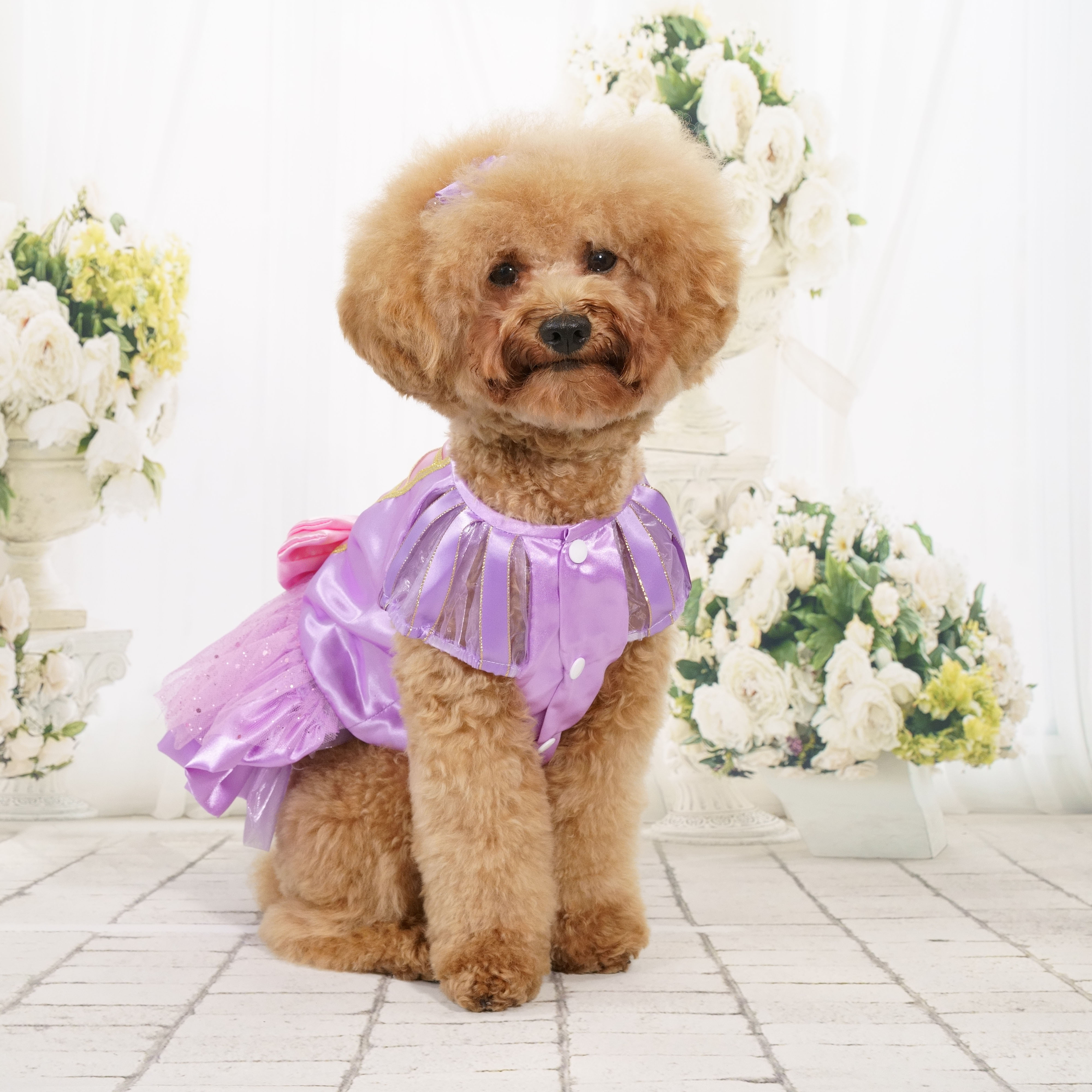 Purple Princess Dress (excluded Headband)