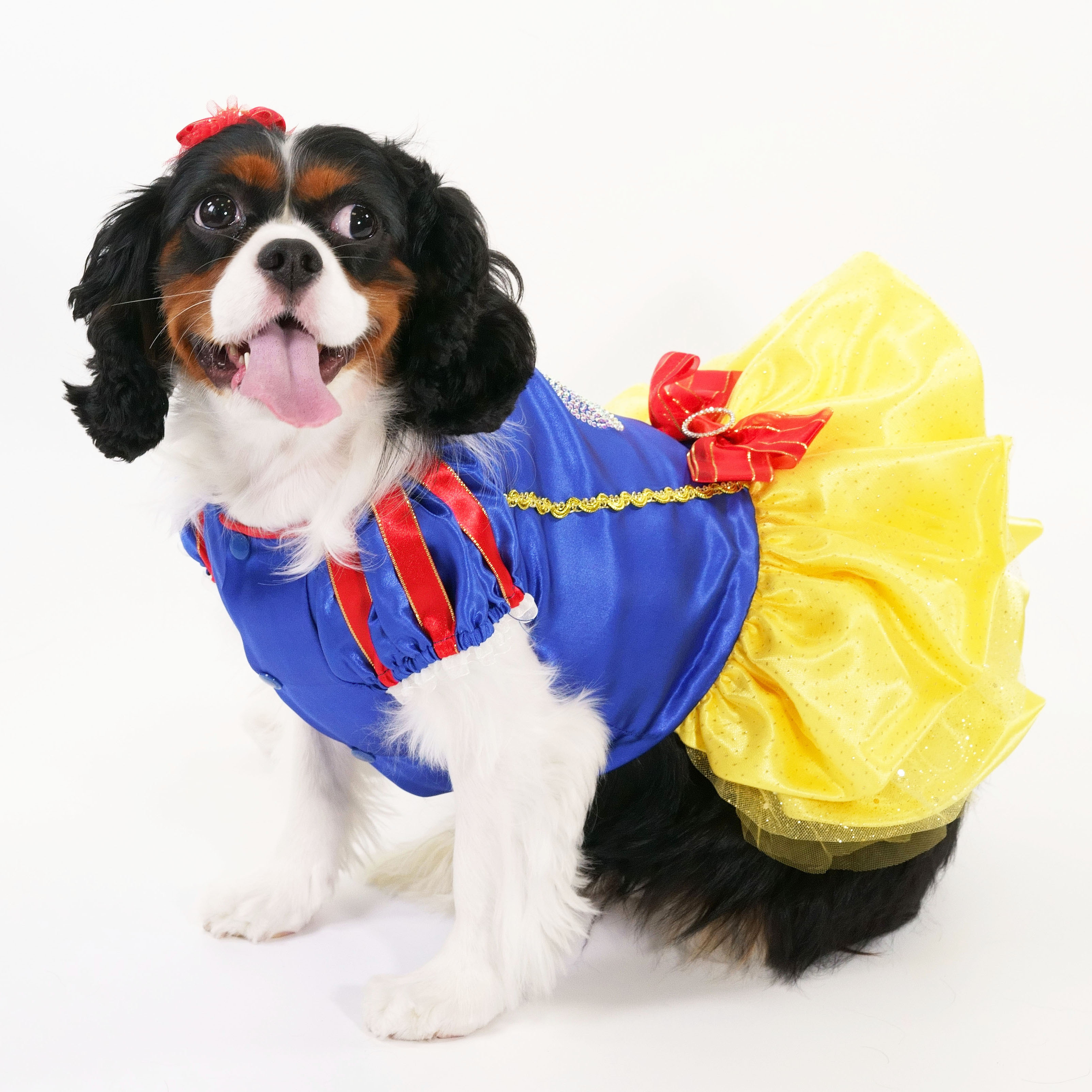 Apple Princess Dress (excluded Headband)