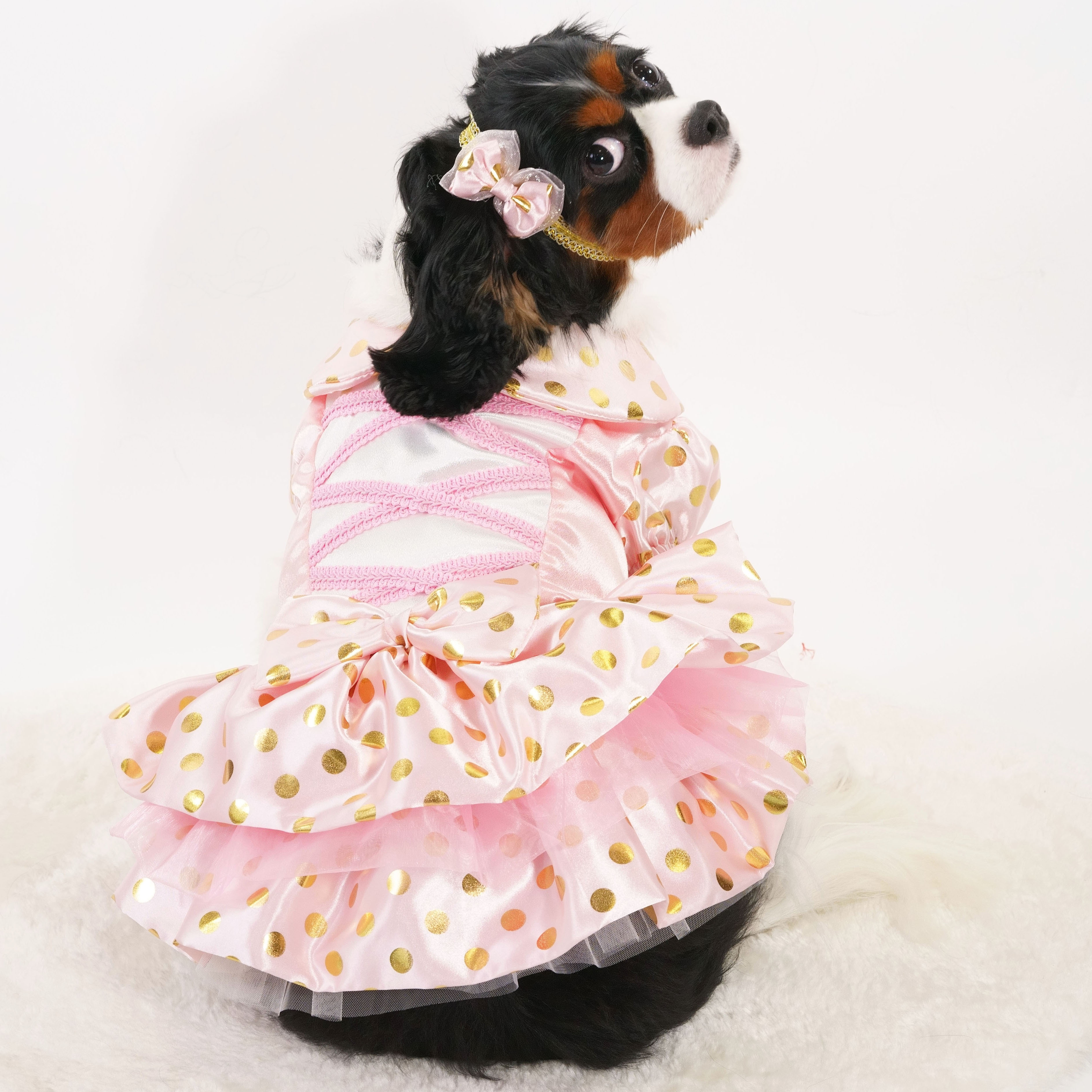 Golden Dot Pink Princess Dress (excluded Handband)