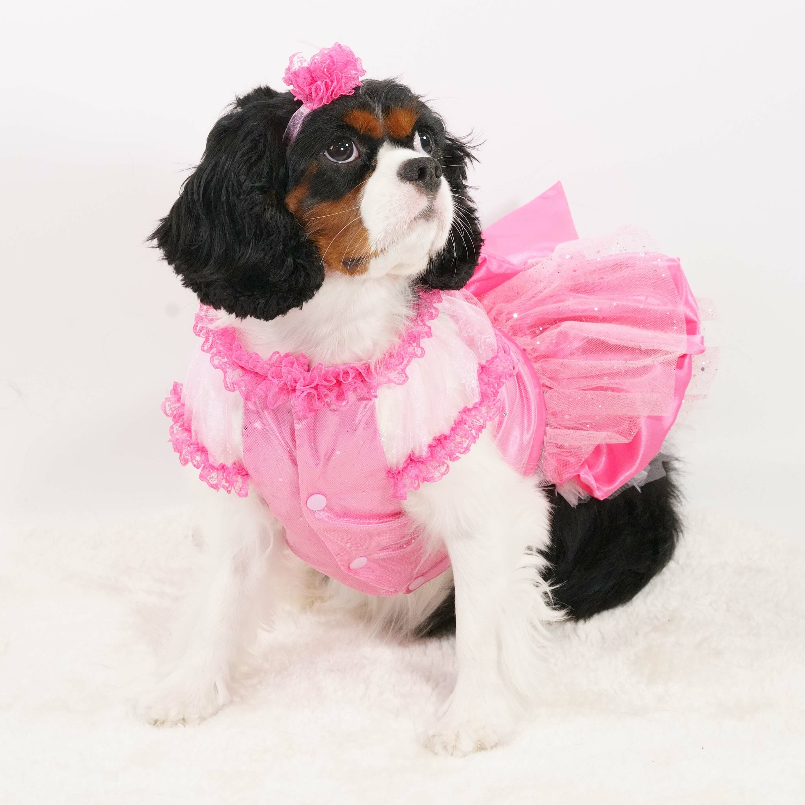 Pink Princess Dress (excluded Headband)