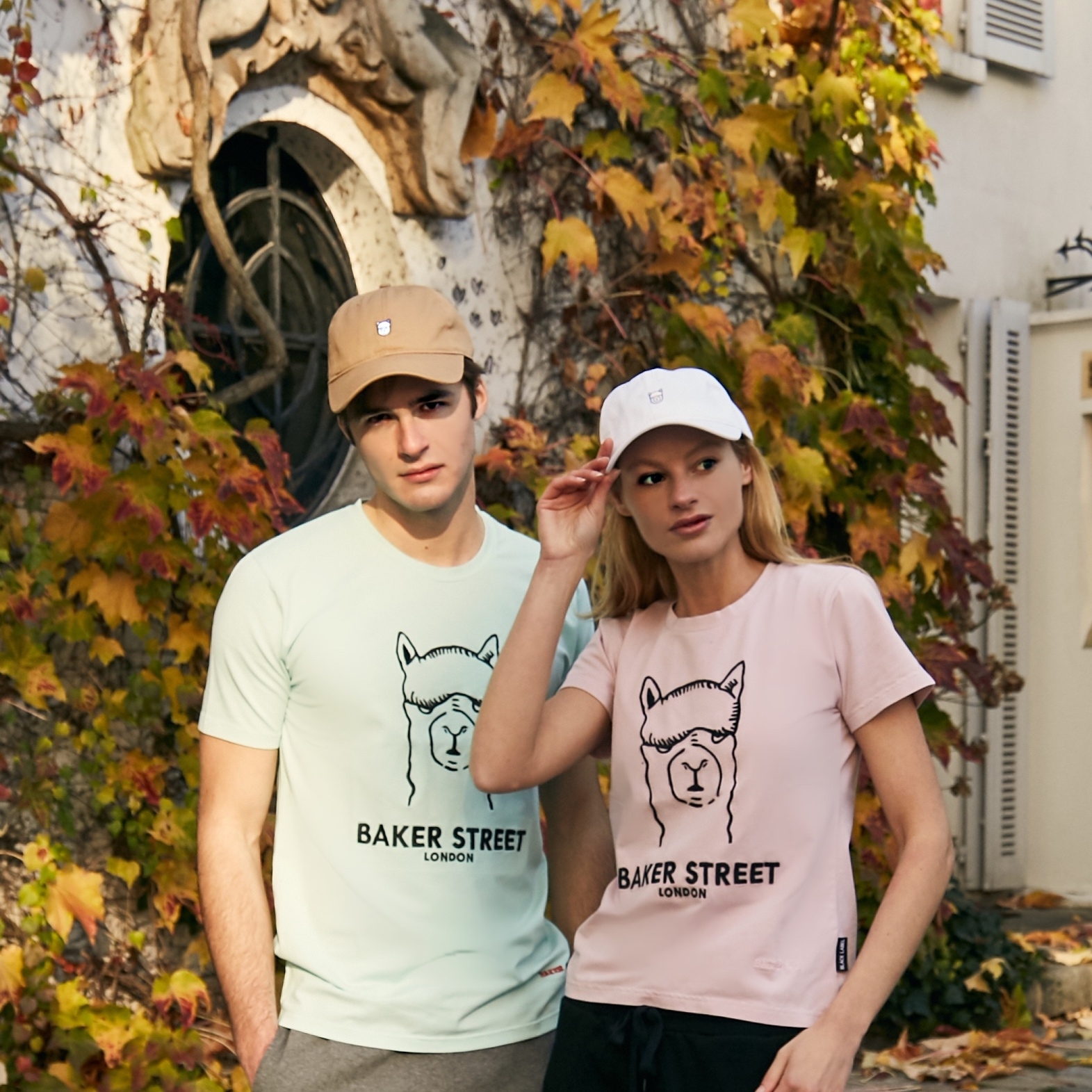 Alpaca Embroidery Dad Cap